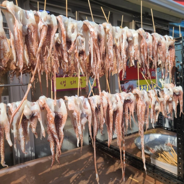  주말여행,속초맛집 찾으신다면 별주부네물곰탕 어떠세요?