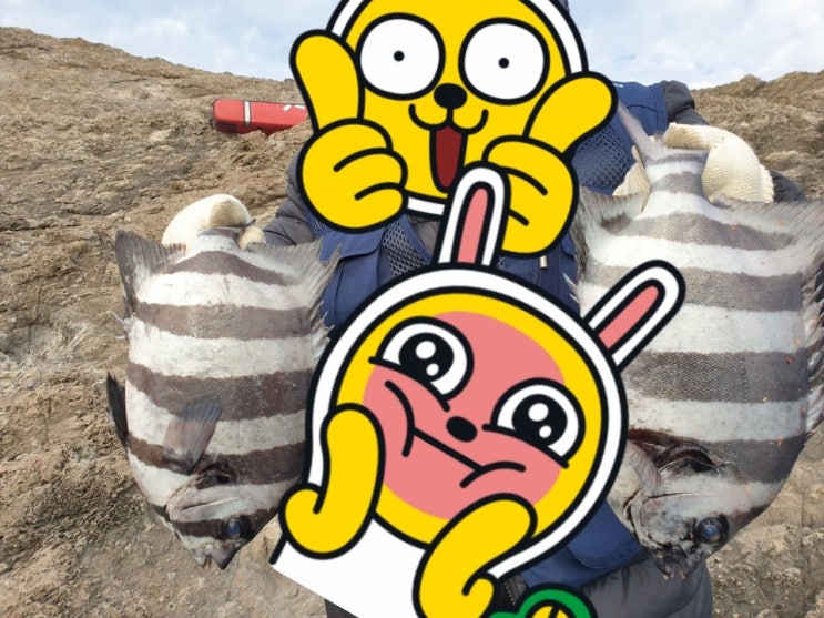  제주도 서귀포 바다낚시 포인트 하례리 망장포구 갯바위 장르별 다양한 낚시 모음