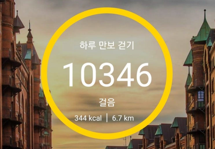  하루 만보걷기  21일차