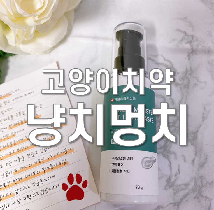  고양이치약 냥치멍치 치석제거해요