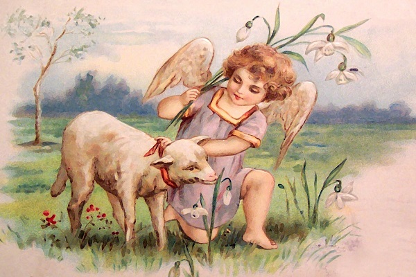  오늘의운세 2020년11월06일 금요일 띠별운세