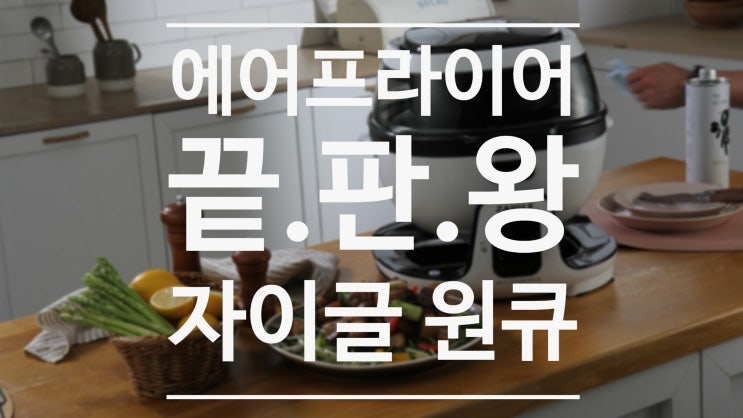  자이글원큐 웍프라이팟 에어프라이어 끝판왕 리빙핏 단독최저가