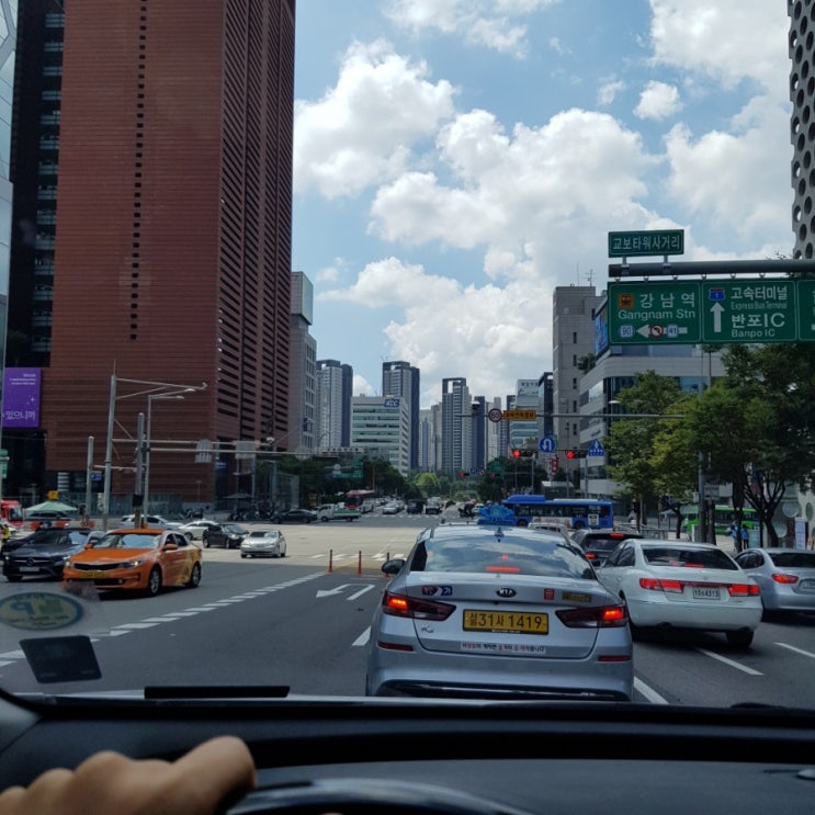  2020.08-09. / 서울대공원 응봉산 송도센트럴파크 등