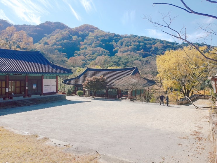  < 무등산 대한불교조계종 증심사 >