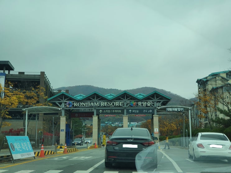  비는 내렸지만 단풍이 참 예뻤던 화담숲