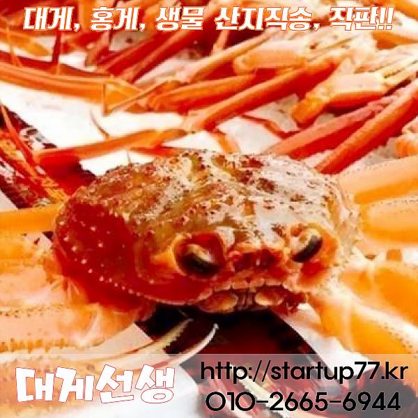  대게, 홍게, 킹크랩, 랍스타, 찜배달 가맹점 모집