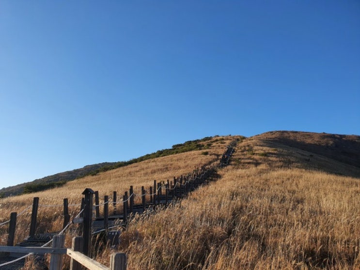  울산 영남알프스 영축산 신불산 코스