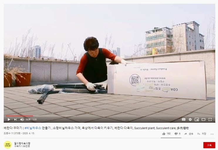  코아하우징 미니온실 대형 워크인 후기 (feat. 유튜버 딸이랑 다육이랑)