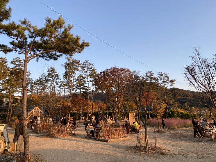  춘천 카페 감자밭 감자빵이 유명한 이유