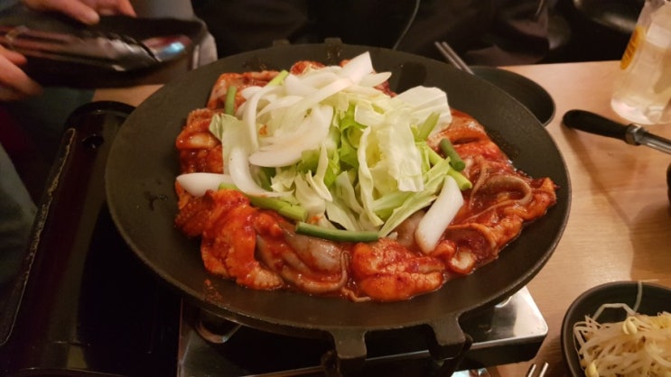  일본생활] 신오쿠보 맛집 홍스쭈꾸미 / 신주쿠 아부라소바 / 일본 도미노피자 / 혼자 토리키조쿠