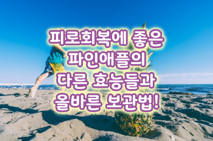  피로회복에 좋은 파인애플의 다른 효능들과 올바른 보관법!