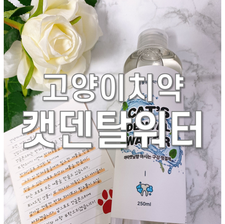  고양이치약 캣덴탈워터 잘먹어요