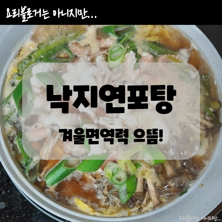 낙지연포탕 겨울면역력 준비에 제격 낙지연포탕 겨울면역력 준비에 제격
