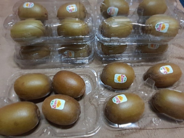 보고잡다 보고잡다