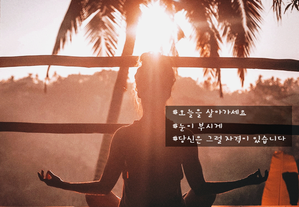  버지니아 사티어 명상록 (짧은 인생 명언 좋은 글귀)