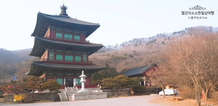  진천보탑사