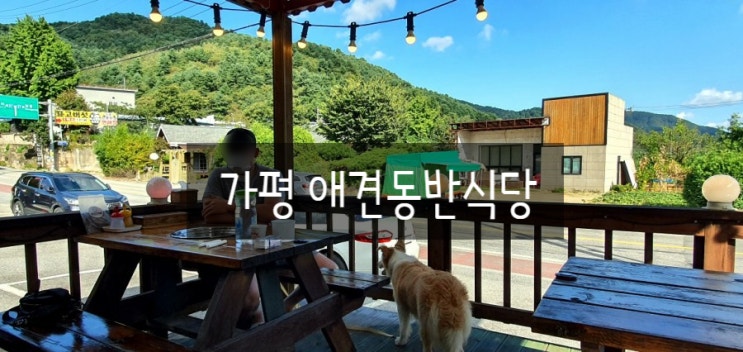  아침고요수목원 강아지 동반, 가평 야외식당 장작구이 맛집