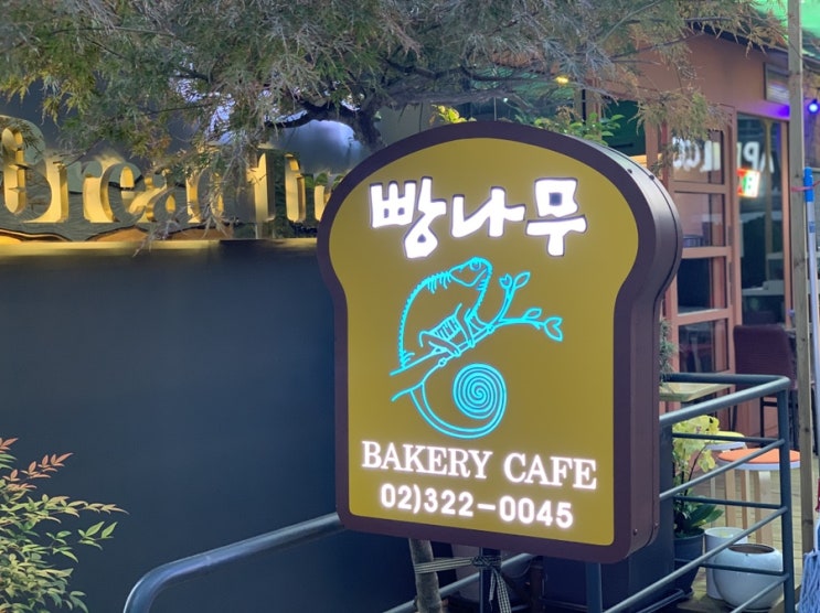 나의 오래된 홍대 빵집 '빵나무' 나의 오래된 홍대 빵집 '빵나무'