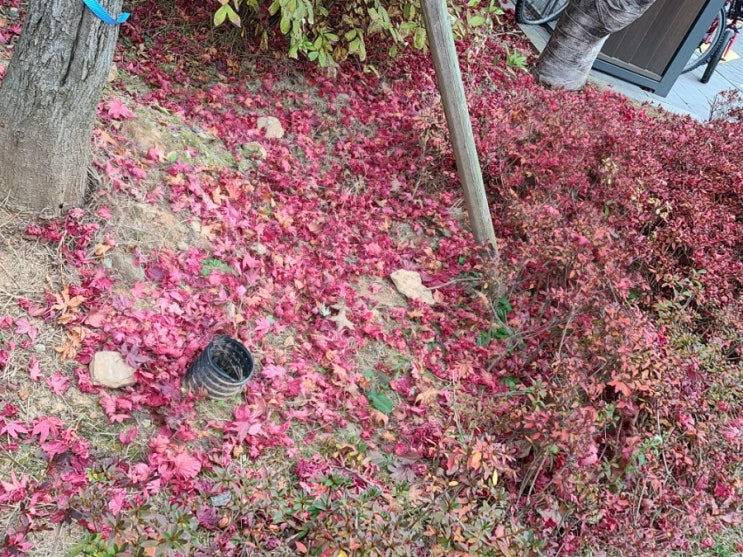  미국대선을 바라보며