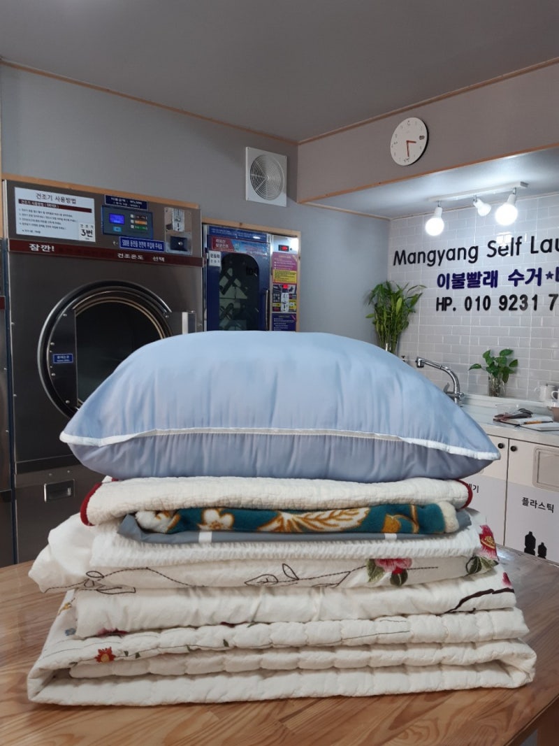 망양셀프빨래방‎의 가을*세탁물 : 네이버 블로그