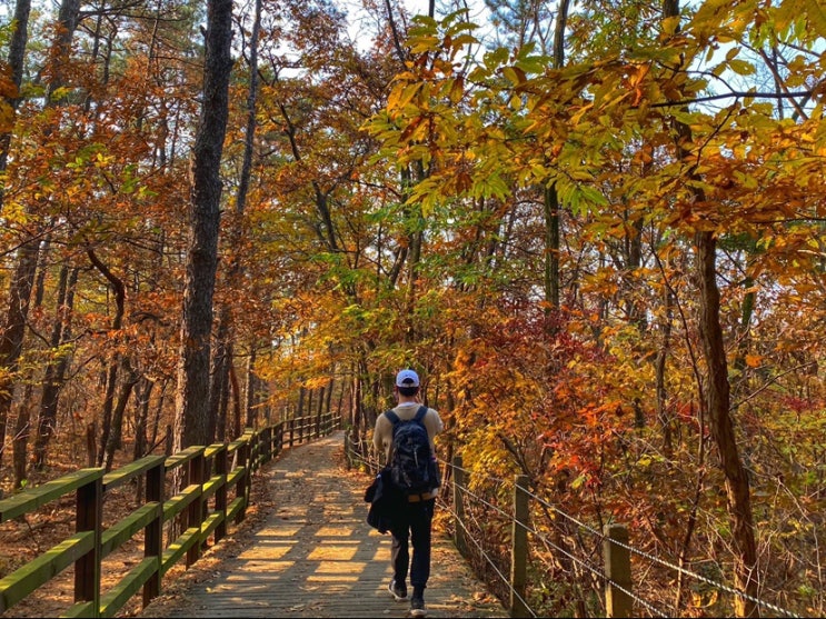  입동 등산,경기도 하남시 검단산 등산데이트와 단풍놀이,단풍 사진
