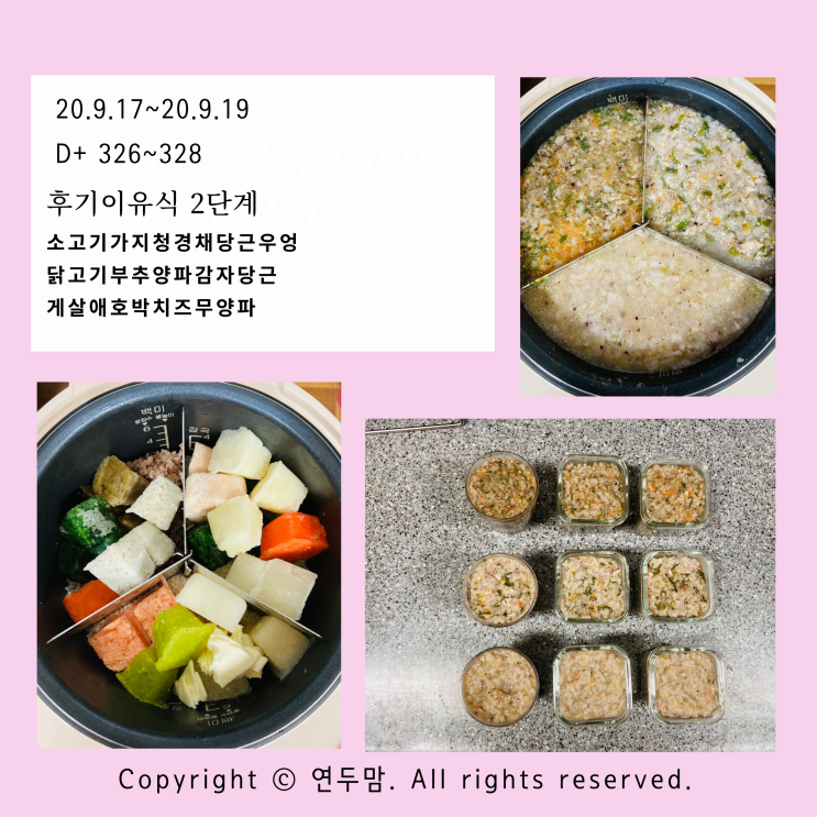 [ 후기이유식 2단계 : 소고기 가지 청경채 / 닭고기 부추 양파 / 게살 애호박 치즈 무른밥 ] 쿠첸크리미 이유식밥솥으로 만들기, 헬로네이처 다짐 대게살 사용