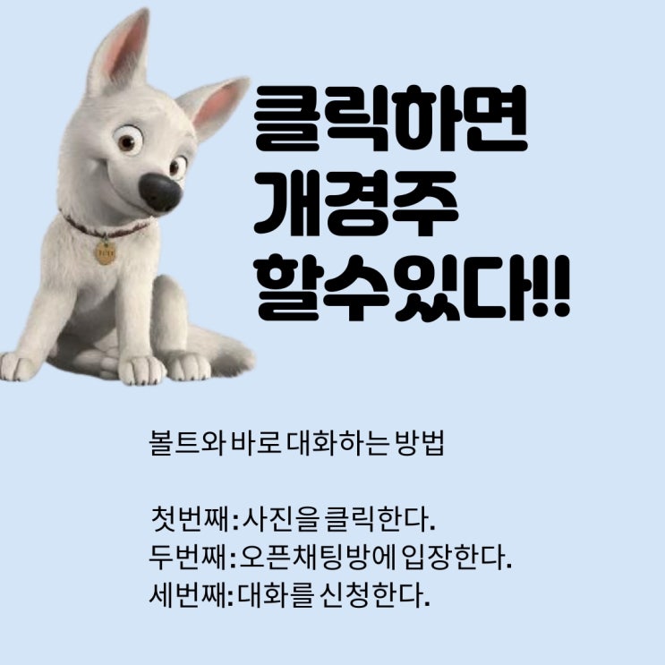  BET365 개경주 소개  경마랑 같은 개념