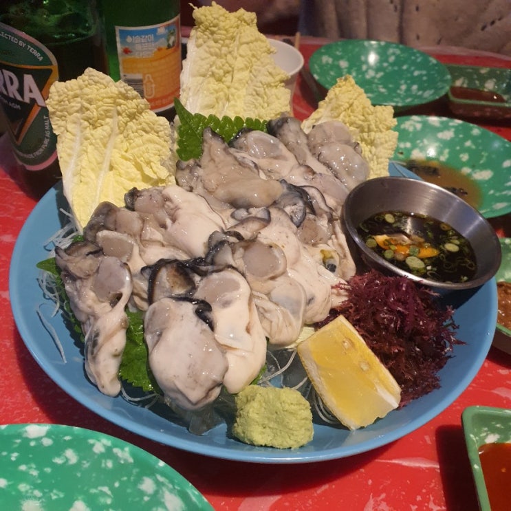  오목교 목동 강릉스낵에서 제철굴 먹고옴