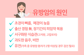 유방암 원인증상 자가진단검사 합병증생존률:유방암 간호의학문헌고찰