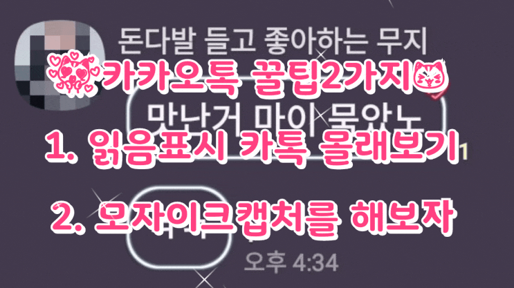 카카오톡 꿀팁2가지 1. 읽음표시 카톡 몰래보기 2.모자이크캡처를 해보자