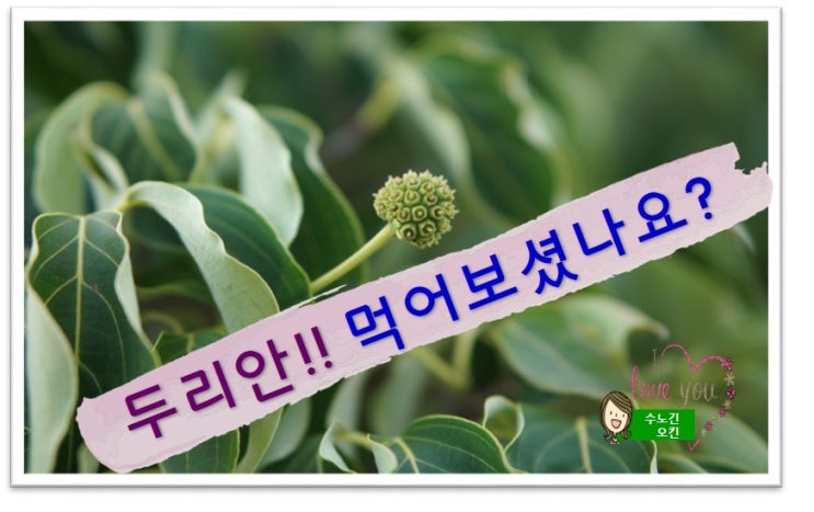  두리안의 효능과 먹는방법 그리고 주의사항을 소개합니다