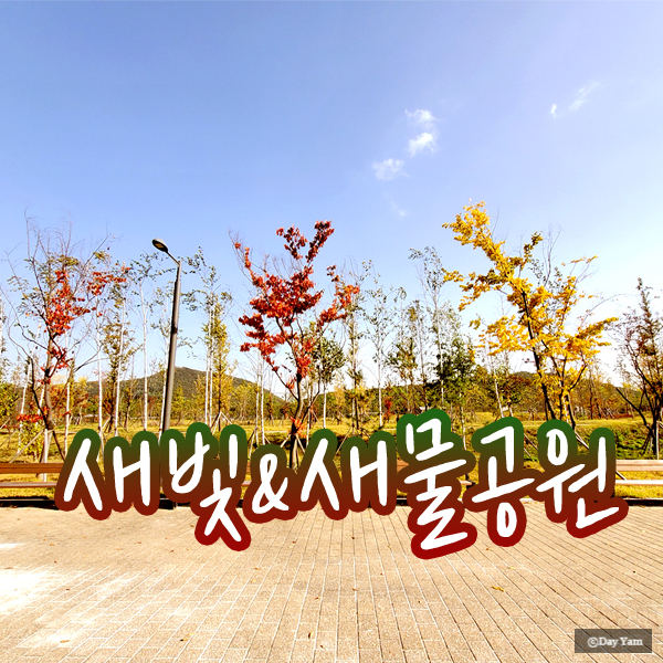  안양새물공원 엄마와 함께 알록달록한 가을 산책