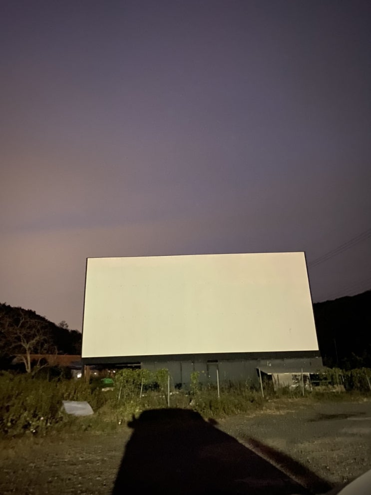  [명소 탐방] 울산 자동차극장 '블루마씨네'에서의 신상치킨 먹방 후기 (네네치킨 청양마요)