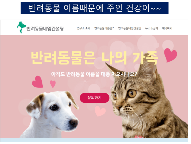  반려동물 이름 주인 건강에 영향 미친다.