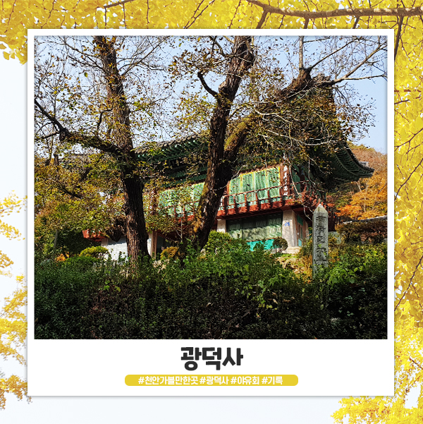 가을에 가도 예쁜 천안 광덕사 가을에 가도 예쁜 천안 광덕사