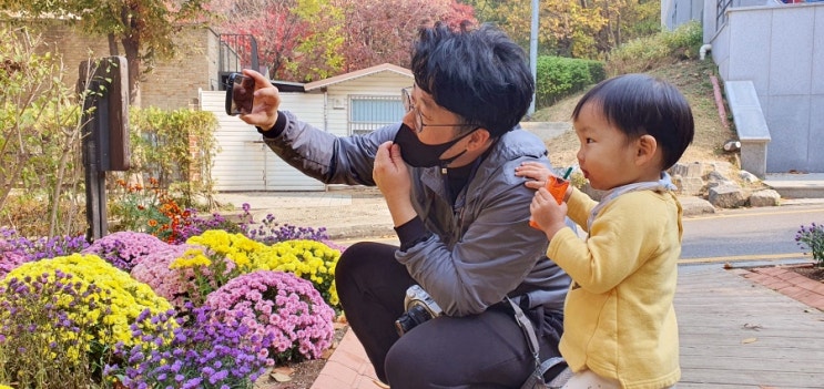  스마트렌즈 똑똑하게 활용해보기