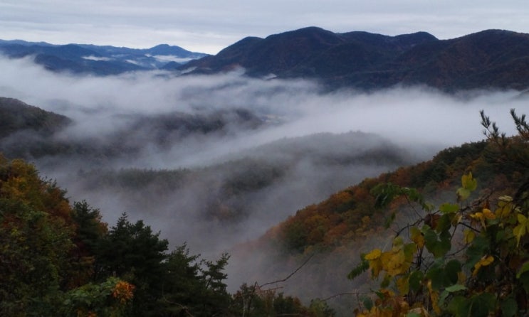  단풍명소) 청송  주왕산  주산지