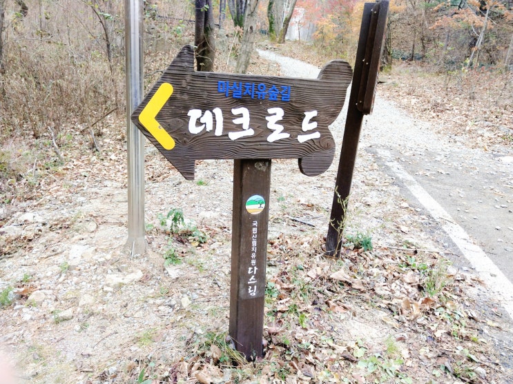  영주 소백산 산림치유원 다스림 데크로드길 가을 산행 좋았어요.(동영상 촬영 망했네ㅜㅜ)