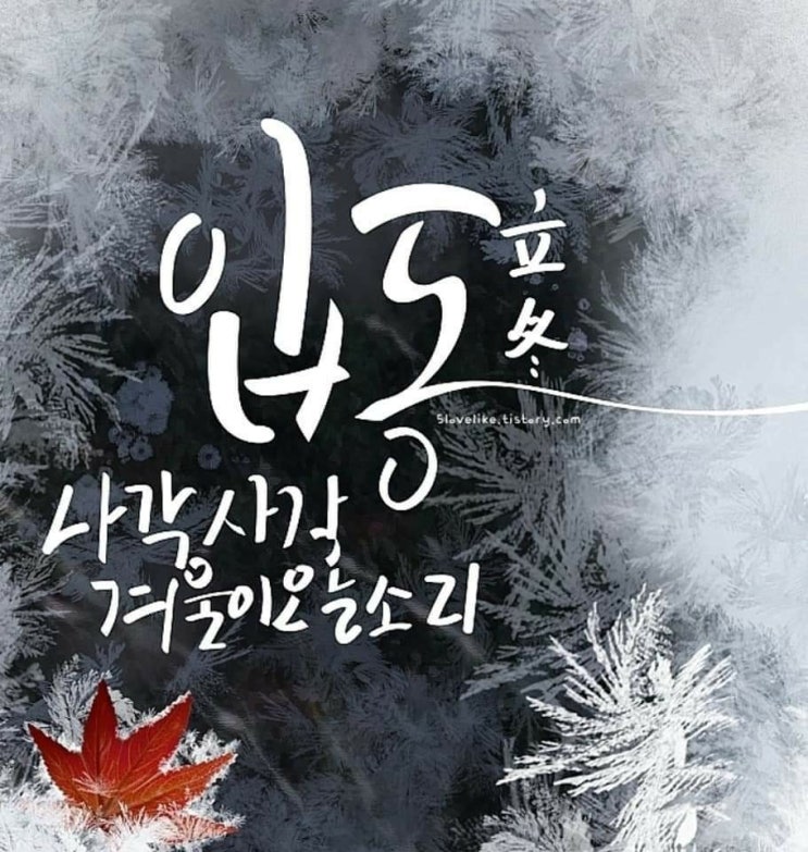 내 인생의 로또는 ? 내 인생의 로또는 ?