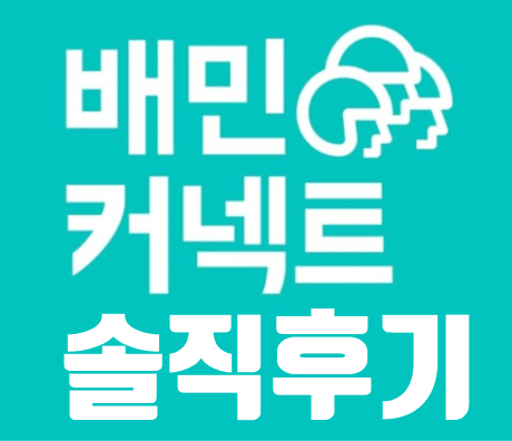  배민커넥트 도보 후기+수입