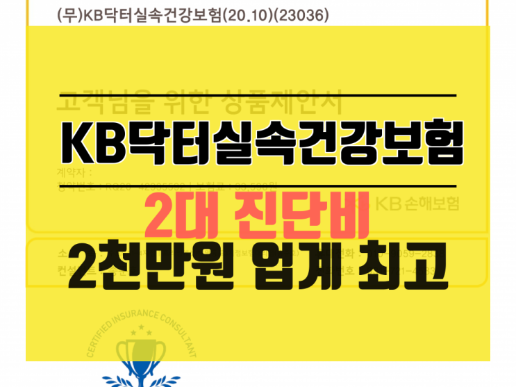  KB닥터실속건강보험으로 허혈성심장질환 뇌혈관질환 2대 진단비 완벽 준비 가능해요