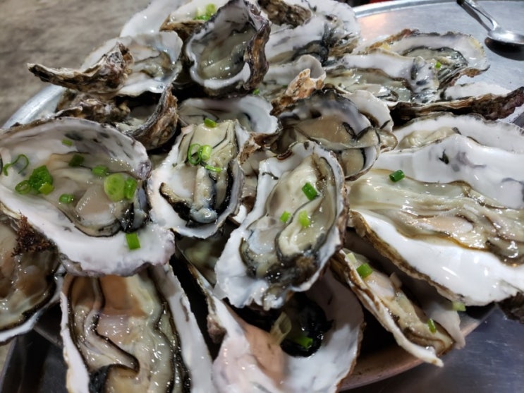  [구미맛집] 회뜰날, 석화구이, 칼슘철분아연 풍부, 면역력 강화, 기력회복, 정력강화