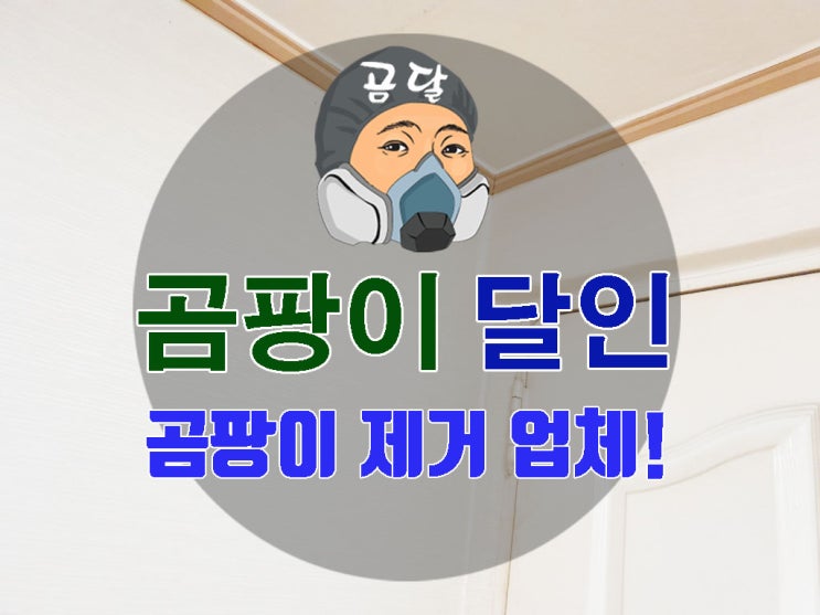  곰팡이 제거 전문 업체 시공현장 후기!