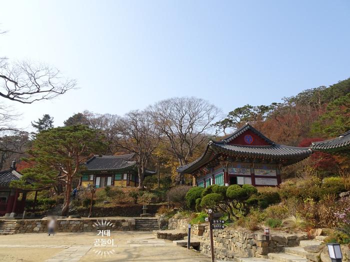  [국내여행] 강화도 전등사 도솔 미술관 강화풍물시장 여행