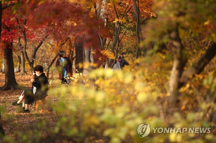 전국 대부분 지역에 서리 강원 →영동은 강풍