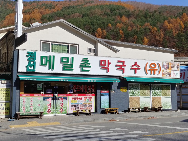  [정선 맛집]정선 메밀촌 막국수(ft.민둥산 억새꽃 축제를 위해 떠났지만... 사실은 빡센 등산)