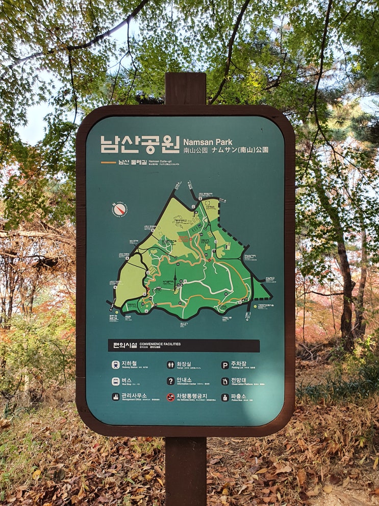  남산공원 남산 둘레길의 단풍이 절정이네요
