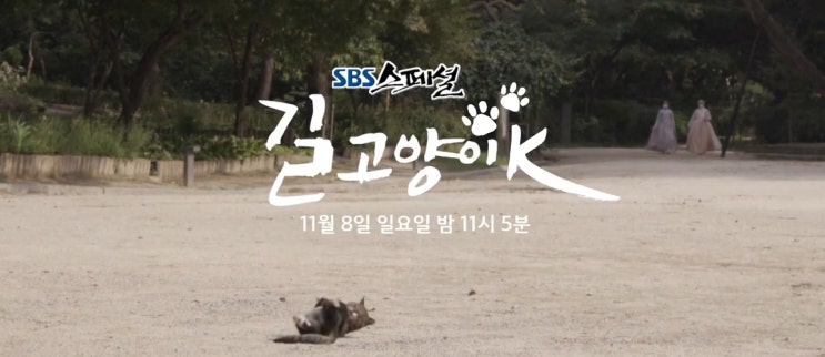 sbs스페셜 길고양이k 길고양이에 대한 오해와 진실 sbs스페셜 길고양이k 길고양이에 대한 오해와 진실
