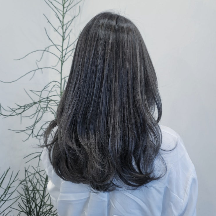  킨텍스 대화동미용실 빌라드율 로지선생님께 밀본 사파이어 염색
