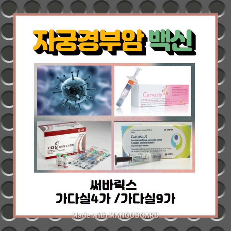  자궁경부암백신